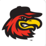 Rochester Red Wings