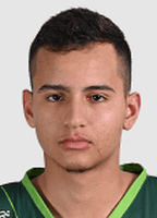 Gemerson Silva
