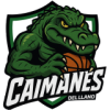 Caimanes del Llano